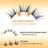 Natural Lash Clusters Wispy Eyelash Clusters Eyelashes Extensions Cat Eye