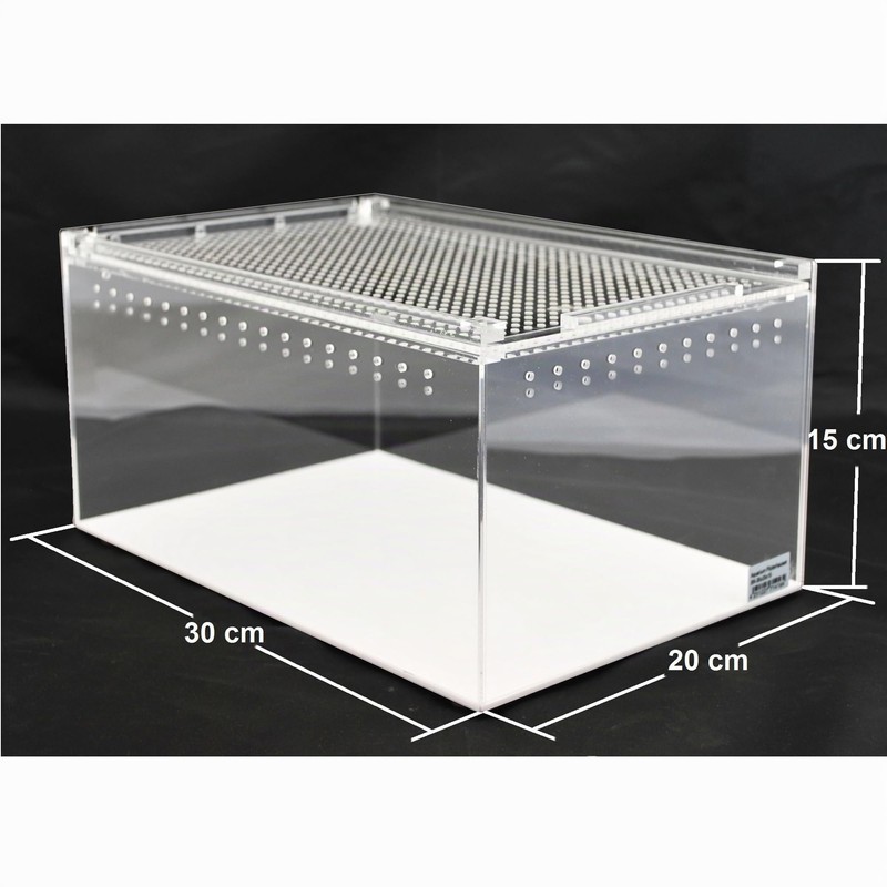 Acrylic Glass Terrarium 30 x 20 x 15 cm for