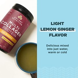 Ancient Nutrition Proteína De Colágeno En Polvo, Proteína De Colágeno Múltiple Para Restaurar El Intestino, Limón Y Jengibre, Vinagre De Sidra De Manzana, Vitamina C, Péptidos De Colágeno Hidrolizados