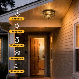 Yonaveil Flush Mount Ceiling Light Fixture, 2-Light Copper Outdoor Ceiling Lights, Octagonal Flush Mount Light with Clear Glass, Black Close to Ceiling Light for Hallway Bedroom Porch Balcony