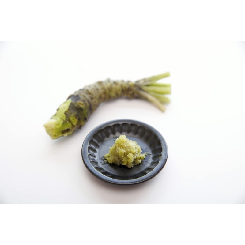Mokkosu Japanese Classic Grater for Wasabi and Ginger, Small Size,