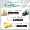 エクセレントメディカル ピクノジェノール エクセレントプラス 120粒