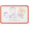 Skater KTMT1AG-A Chopping Board AG+ Antibacterial 21 x 32.5 cm