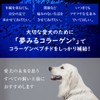 夢みるコラーゲン サプリメント 犬用 粉末 100g 国産 無添加 添加物不使用 保存料不使用 コラーゲンパウダー