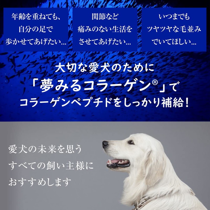 夢みるコラーゲン サプリメント 犬用 粉末 100g 国産 無添加 添加物不使用 保存料不使用 コラーゲンパウダー