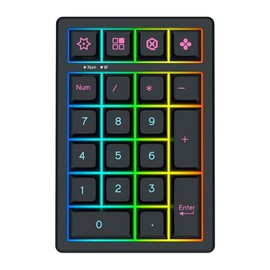 BOYI TD21 Hot Swap Numpad,21 Keys Mini Numpad Portable Keypad Bluetooth5.0/2.4G/Wired Number Pad Keyboard PBT Keycaps RGB Backlit Type-C Mini Keyboard (Cool Black Cherry Keycaps)