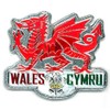 WELSH DRAGON METALLIC FRIDGE MAGNET - GREAT SOUVENIR GIFT FROM