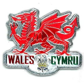 WELSH DRAGON METALLIC FRIDGE MAGNET - GREAT SOUVENIR GIFT FROM WALES CYMRU -7607