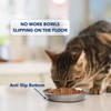 3 Pack Stainless Steel Cat Bowls - Whisker Fatigue Shallow