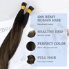 DOORES I Tip Human Hair Extensions, Balayage Natural Black to