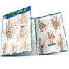 The Hand QuickStudy Laminated Reference Guide (QuickStudy Academic)