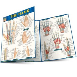 The Hand QuickStudy Laminated Reference Guide (QuickStudy Academic)