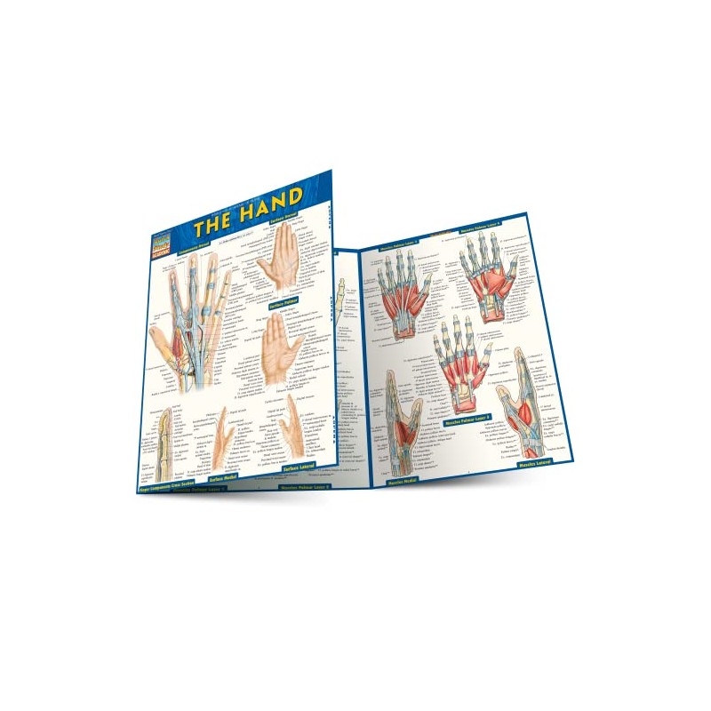 The Hand QuickStudy Laminated Reference Guide (QuickStudy Academic)