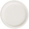 Creative Converting Touch of Color 24 Count Paper Dessert Plates,