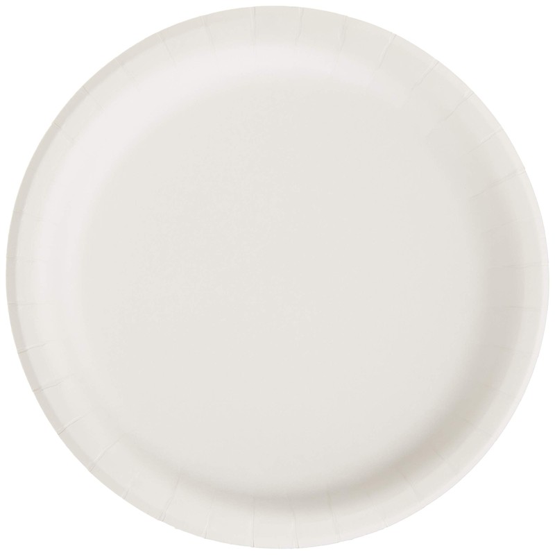 Creative Converting Touch of Color 24 Count Paper Dessert Plates,