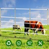 CYM-INSIST 24Pcs 48in Fiberglass Step-in Electric Fence Posts