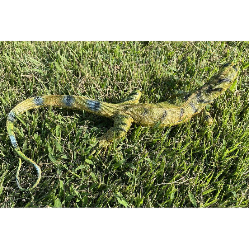 Monitor Lizard Replica - Young Green - AAA Realistic PVC