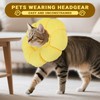 Cat Collar - Protective Collar Cat M - Soft PP