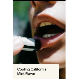 Salt & Stone California Mint Lip Balm 0.15 oz – Natural Hydrating Formula