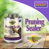 Bonide Garden Rich Pruning Sealer with Brush Top Applicator, 16