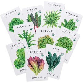 Sereniseed Certified Organic Leafy Greens Lettuce Seeds Collection (10-Pack)