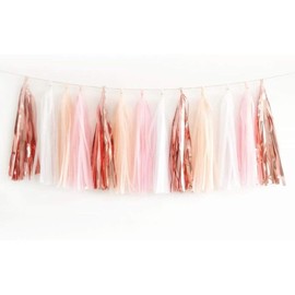 Ainmto Pack of 20 Tissue Paper Tassels Garland, Paper Tassels Banner for Party Decorations - (Rose Gold/Peach Color/Light Pink/White)