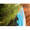 Papel Fotográfico Aperlado 300 Hojas 6x8 (3 Pack) Blanco