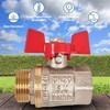 PipeSan Ball Valve 3/4 Inch Double Thread (Female/Male Thread) with