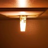 BAOMING G4 LED Bulb 12V 3.5W JC Bi-Pin Base, 20W-35W