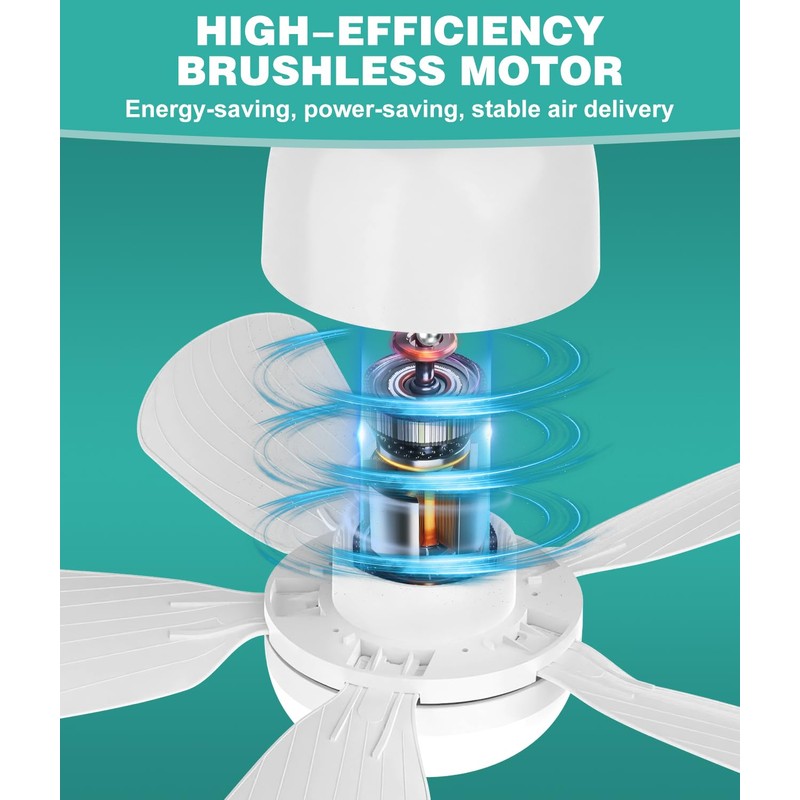 HK Ceiling Fan with Light and Remote,20 Inch, 5 Speeds