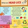Escenti Kids 3in1 Head Lice Prevention Set - 1 x