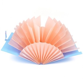 Snap A4 File Case 12-Compartment Pink 2ea