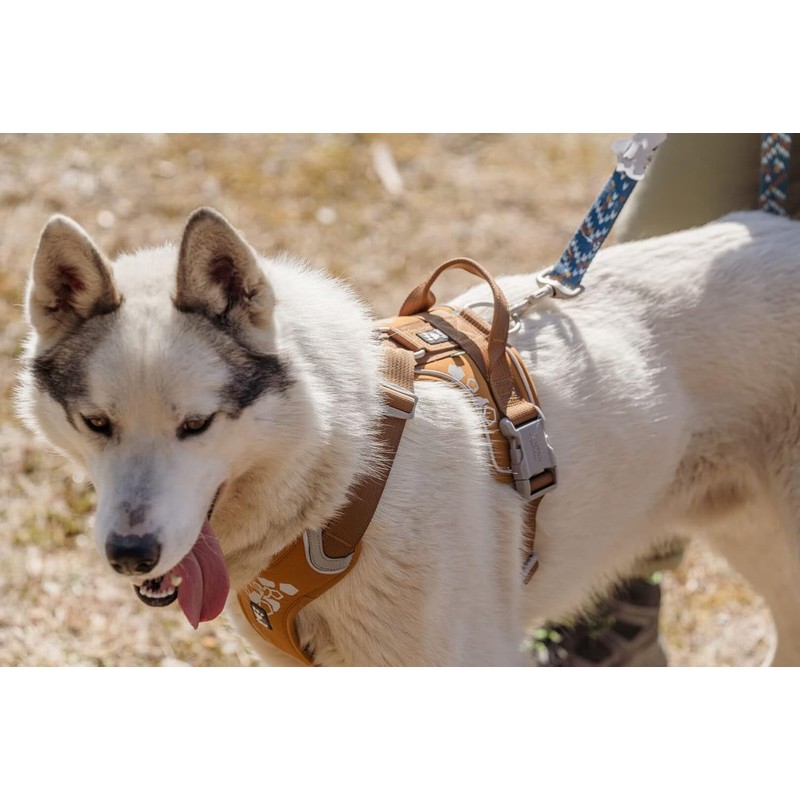 Hurtta Warrior Harness (15.7 - 17.7 inches (40 - 45