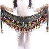 Baisdan Belly Dance Belt Belly Dance Skirt with Glitter Sequins
