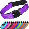 Collar Reflejante para Perro y Gato, Diseño Cómodo, Resistente. Ideal