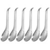 6 Pieces Slotted Serving Spoons, WideSmart Stainless Steel Caviar Spoon,