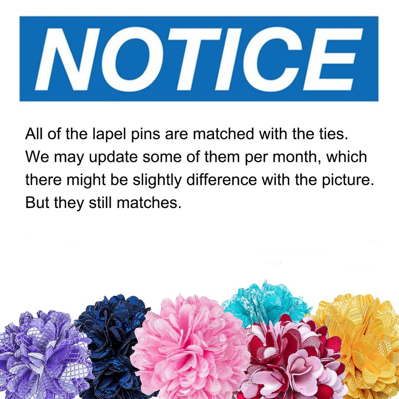 Hi-Tie Black Grey Mens Ties and Flower Lapel Pin Set