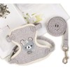 1PCS Rabbit Harness and Leash Set - Small Pet Harness