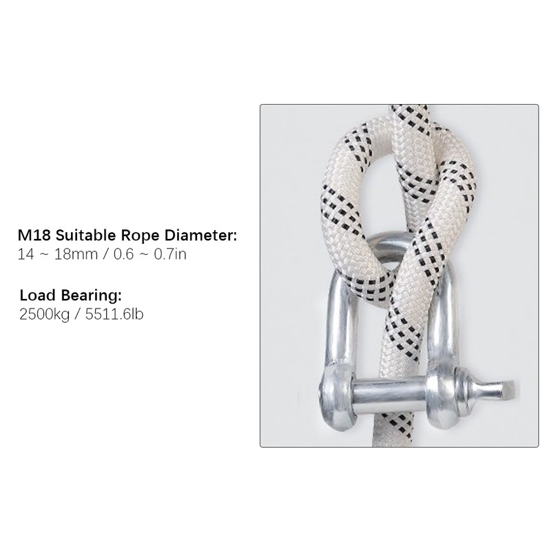 DShape Shackle Stainless Steel DRing Shackle for Outdoor Chains Wirerope