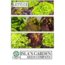 Great Lakes Batavian Leaf Lettuce Seeds, 1000 Heirloom Seeds Per Packet, Non GMO Seeds