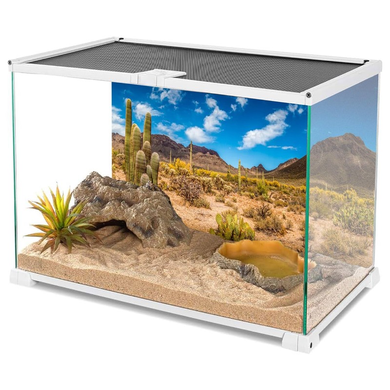 AWERT 48x20 inches Reptile Habitat Background Blue Sky Oasis Cactus