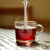 Thyonta 2 PCS Stainless Steel Long Handle Tea Balls, Stainless