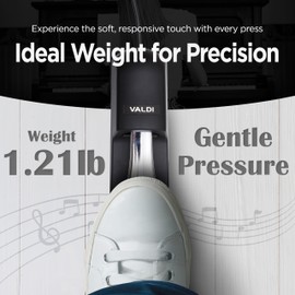 VALDI BP-3 Sustain Pedal - Universal Pedal for Keyboard Piano, Digital Pianos, MIDI Keyboards & Synths - Conversion Switch for All Brands - 1/4'' Jack, Anti-Slip Design, Extended Cable (BLACK)