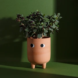 Brown and Ginger Side Eyes Round Terracotta Planter (Large - 15.8cm Tall)