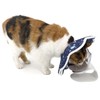 QIYADIN Soft Cat Cone, Adjustable Recovery Collar After Surgery to