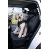 DogMaster 2.0 Dog Safety Belt, Black/Black, Small