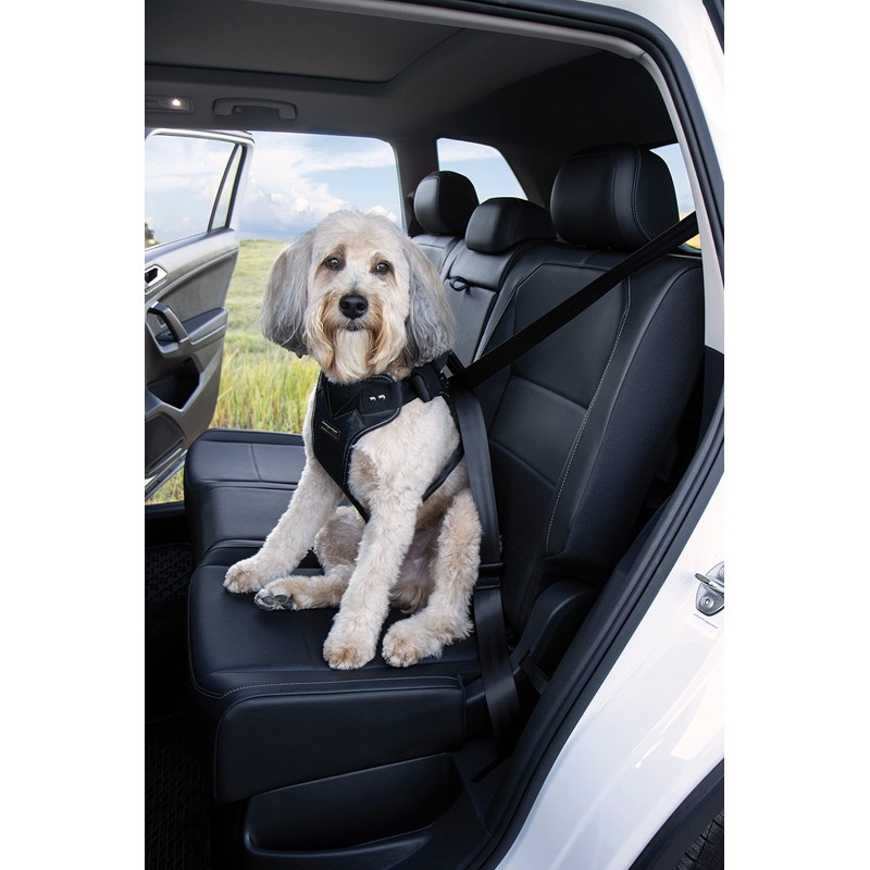 DogMaster 2.0 Dog Safety Belt, Black/Black, Small