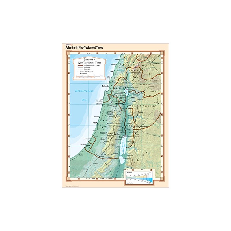 Cool Owl Maps - Palestine in New Testament Times -