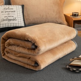 PAJEO Fleece Bed Blankets Twin Size - Soft Lightweight Plush Fuzzy Cozy Luxury Blanket Microfiber Throw for Couch Bed,All-Season Breathable,60x80 Inches