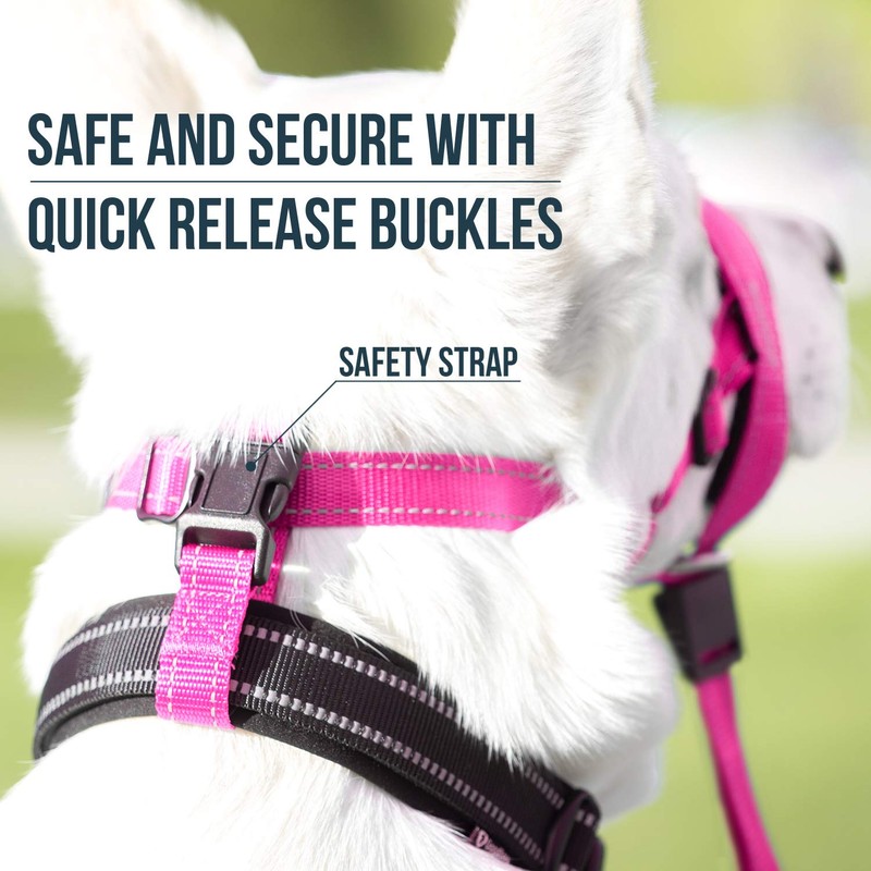 GoodBoy Dog Head Halter with Safety Strap - Stops Heavy